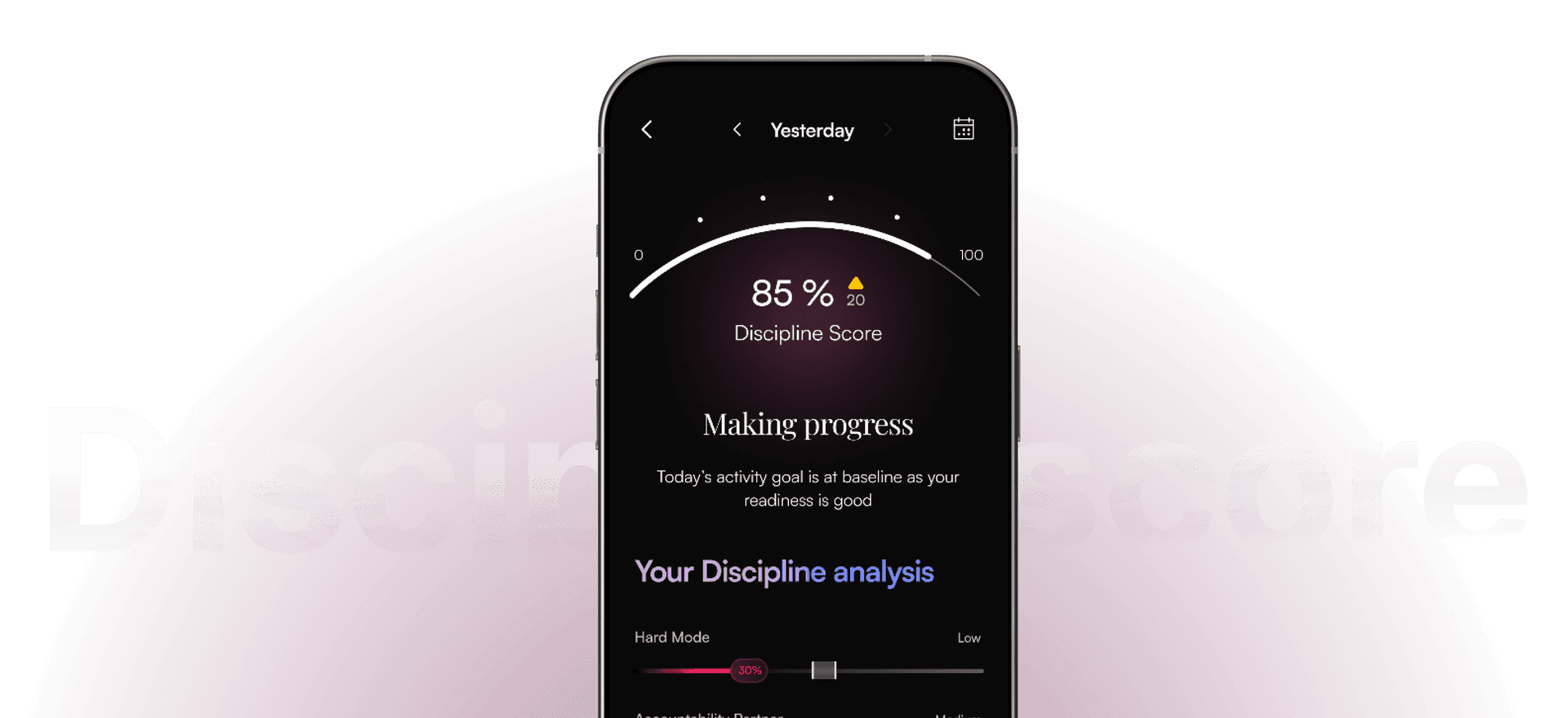 Discipline Score